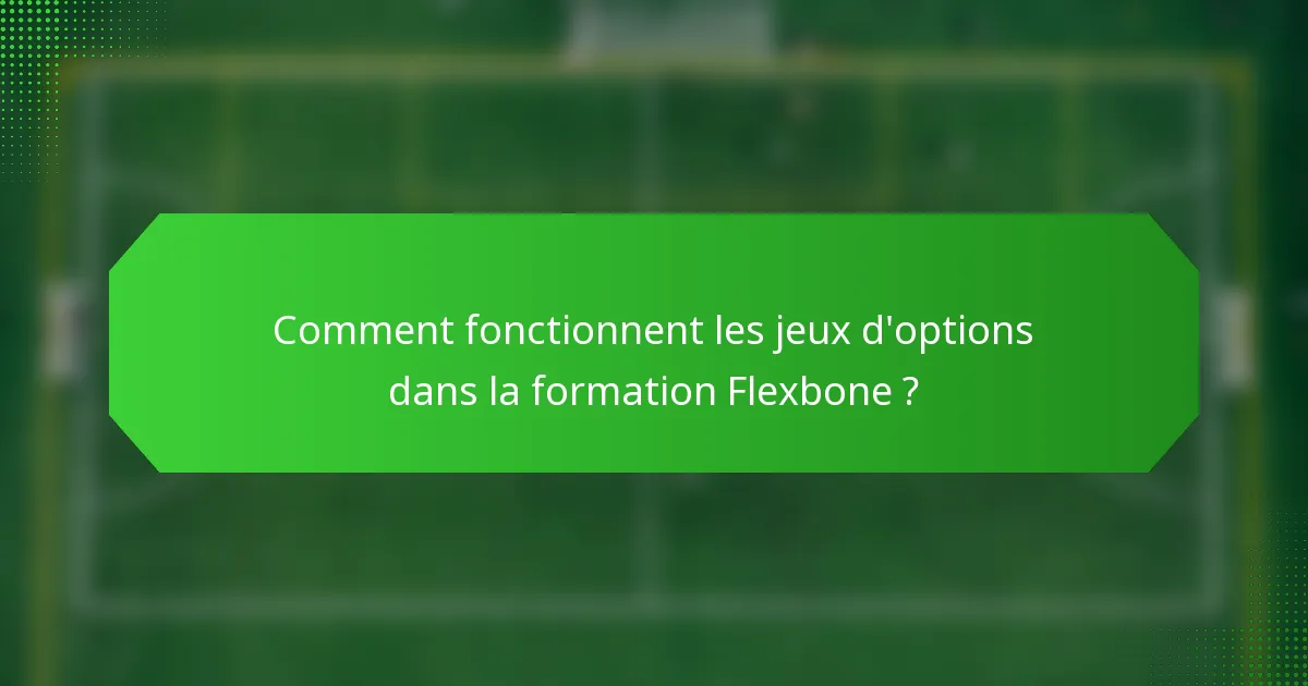 Comment fonctionnent les jeux d'options dans la formation Flexbone ?